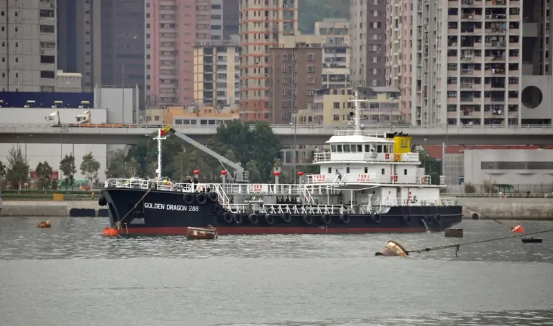 GOLDEN DRAGON 288 General Cargo IMO 9504009