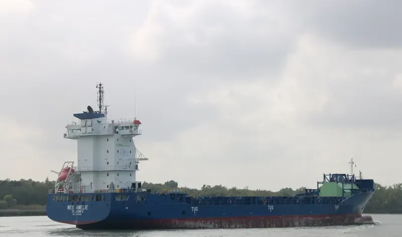 WES AMELIE Container Ship IMO 9504059 photo 7