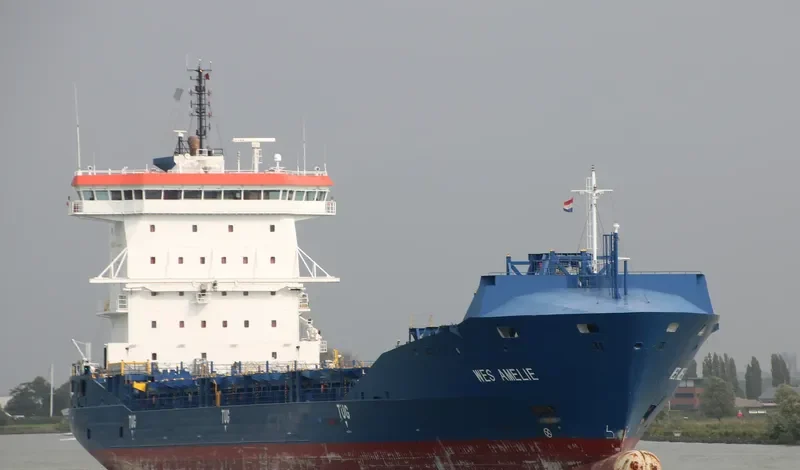 WES AMELIE Container Ship IMO 9504059 photo 8