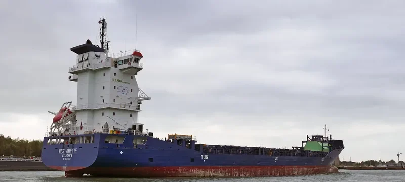 WES AMELIE Container Ship IMO 9504059 photo 9