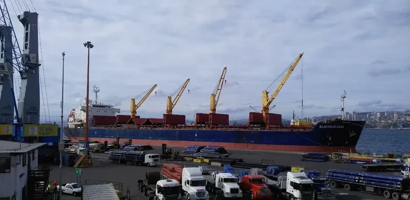 ELGIZNUR CEBI Bulk Carrier IMO 9504293 photo 2