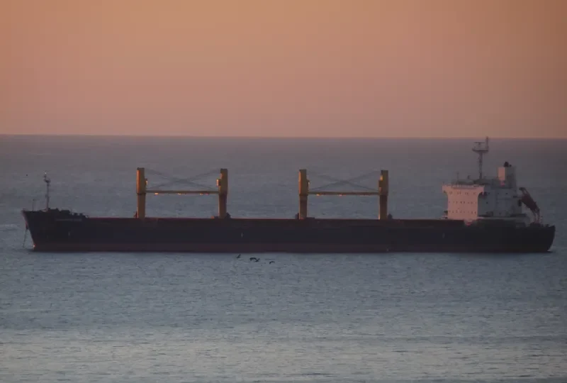 ELGIZNUR CEBI Bulk Carrier IMO 9504293 photo 4