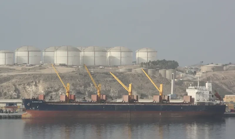 ELGIZNUR CEBI Bulk Carrier IMO 9504293 photo 5