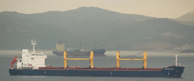 ELGIZNUR CEBI Bulk Carrier IMO 9504293 photo 8