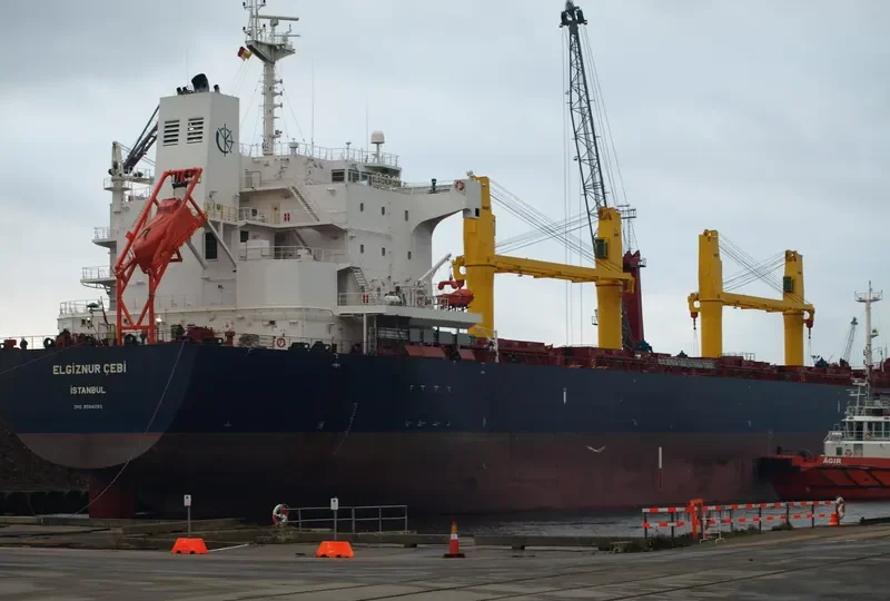 ELGIZNUR CEBI Bulk Carrier IMO 9504293 photo 10