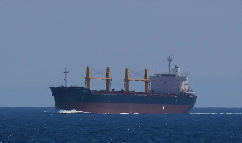 CEBIHAN Bulk Carrier IMO 9504308 photo 6