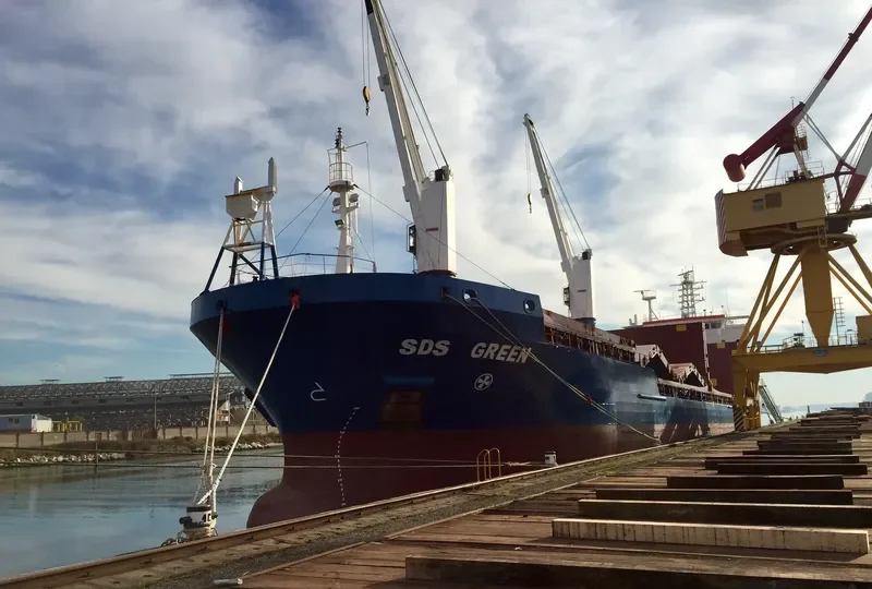 SDS GREEN General Cargo IMO 9504621 photo 7