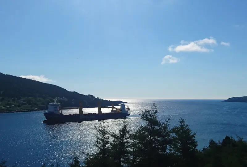 BBC CITRINE General Cargo IMO 9504748 photo 2