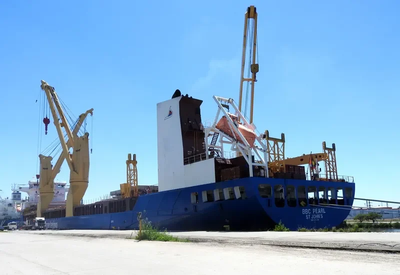BBC PEARL General Cargo IMO 9504786