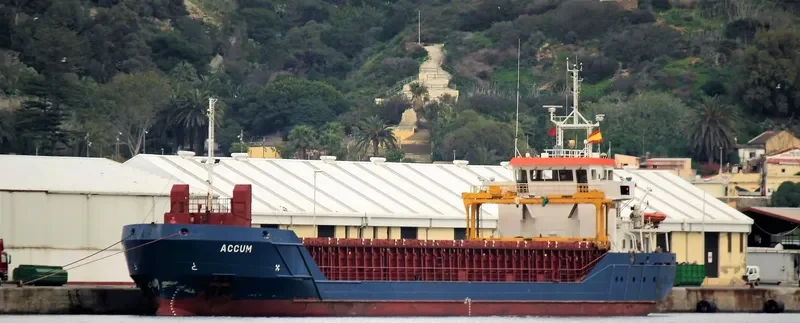 ACCUM General Cargo IMO 9505314 photo 9