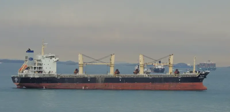 YU LONG LING Bulk Carrier IMO 9505431