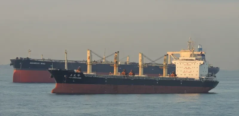 YU LONG LING Bulk Carrier IMO 9505431 photo 2