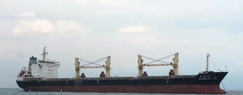 YU LONG LING Bulk Carrier IMO 9505431 photo 3