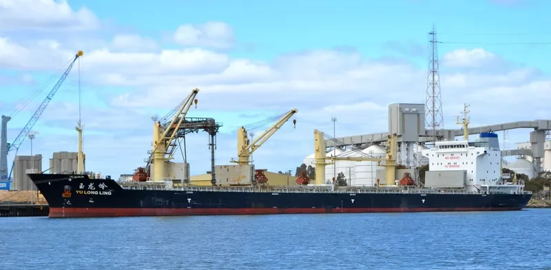 YU LONG LING Bulk Carrier IMO 9505431 photo 5