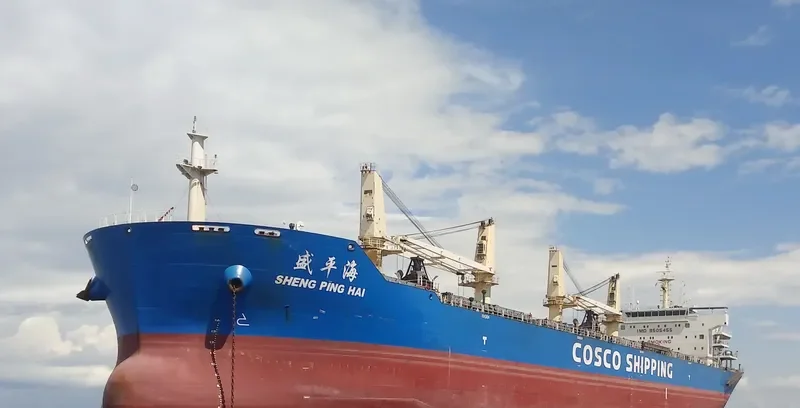 SHENG PING HAI Bulk Carrier IMO 9505455 photo 2
