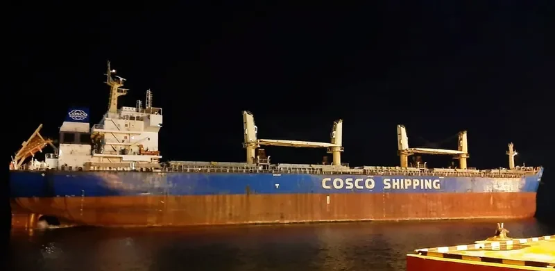 SHENG HENG HAI Bulk Carrier IMO 9505493 photo 3