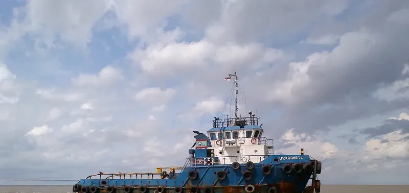 DRAGONET II General Cargo IMO 9505742 photo 2