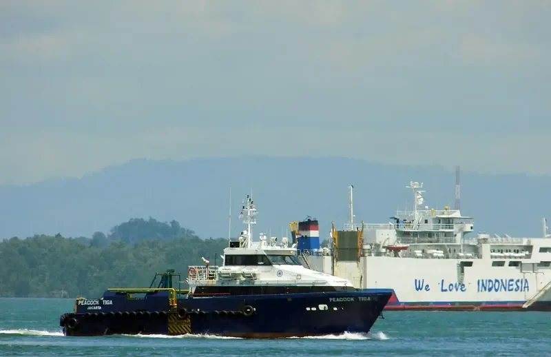 CB PEACOCK TIGA Offshore Vessel IMO 9505780