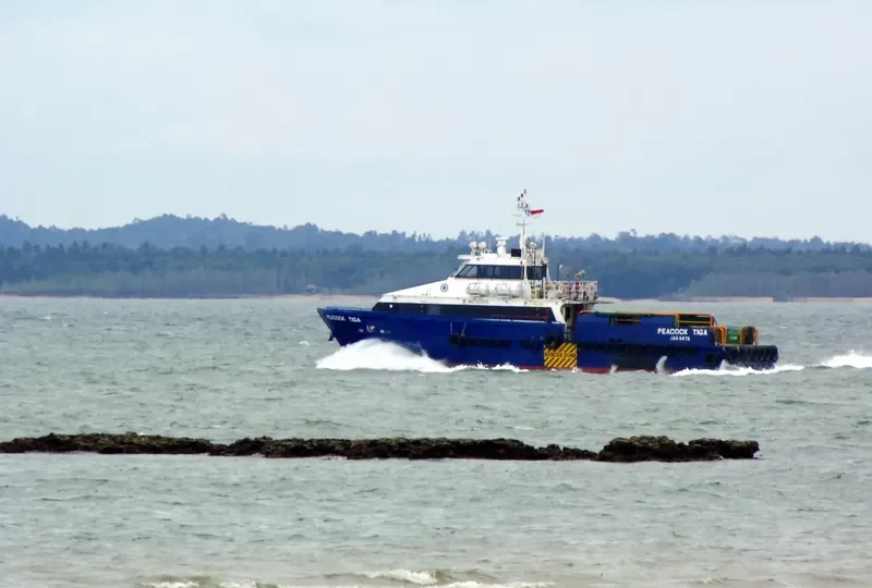 CB PEACOCK TIGA Offshore Vessel IMO 9505780 photo 2