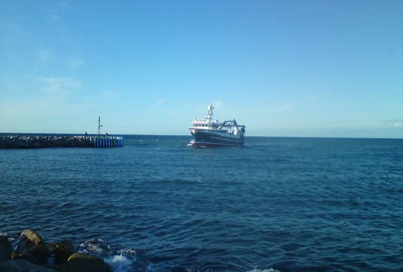 CARPE DIEM General Cargo IMO 9505807 photo 4
