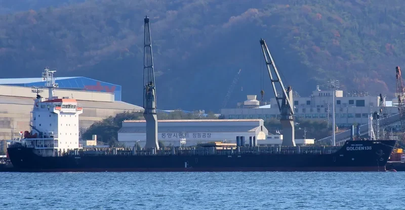 SPRING SALIM General Cargo IMO 9505895 photo 3