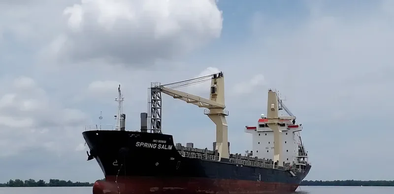 SPRING SALIM General Cargo IMO 9505895 photo 6