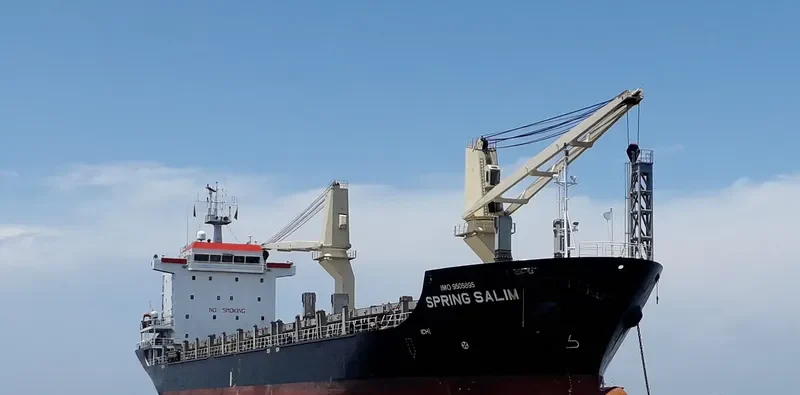 SPRING SALIM General Cargo IMO 9505895 photo 9