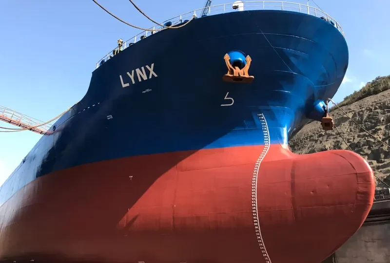 TRANSATLANTIC Bulk Carrier IMO 9506100 photo 3