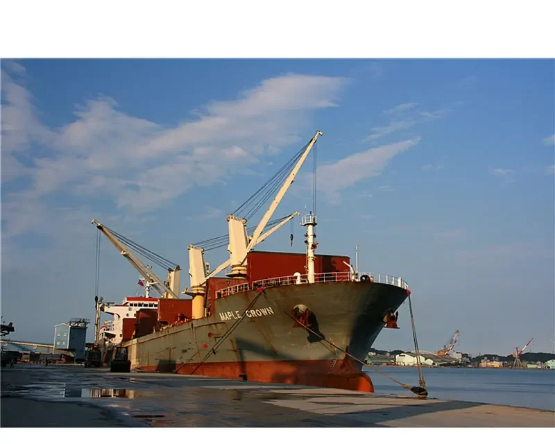 TRANSATLANTIC Bulk Carrier IMO 9506100 photo 5