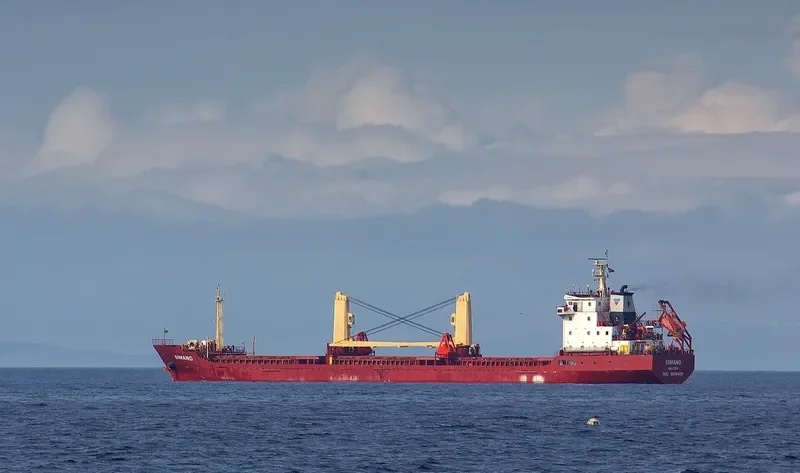 NAVIN HARRIER Bulk Carrier IMO 9506409 photo 10