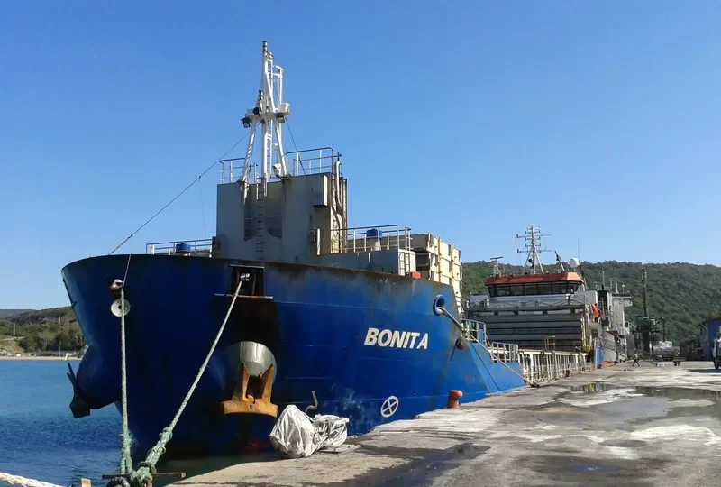 BONITA General Cargo IMO 9506564 photo 4