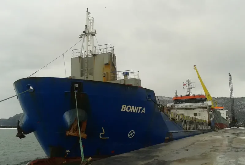 BONITA General Cargo IMO 9506564 photo 9