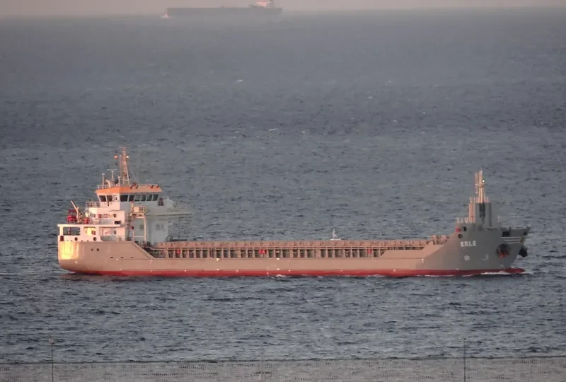 ERLE General Cargo IMO 9506576 photo 8