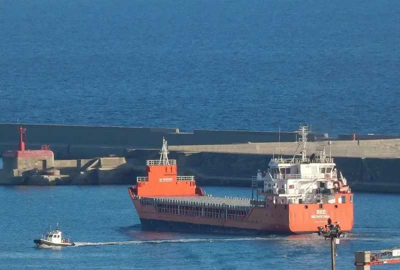 BEE General Cargo IMO 9506588
