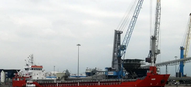 BEE General Cargo IMO 9506588 photo 5