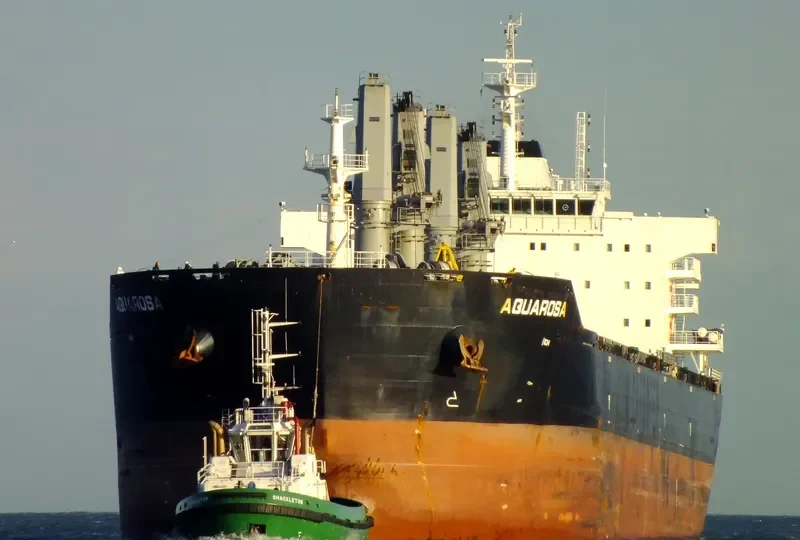 AIS SUN Bulk Carrier IMO 9506708 photo 7