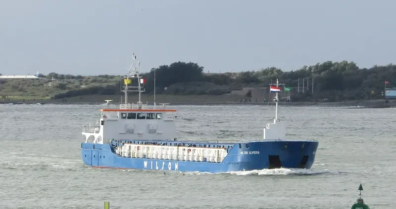 WILSON ALMERIA General Cargo IMO 9507362 photo 8