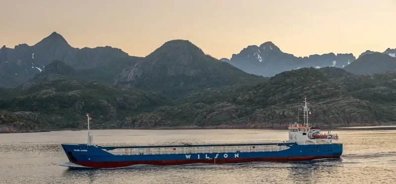 WILSON ALMERIA General Cargo IMO 9507362 photo 9