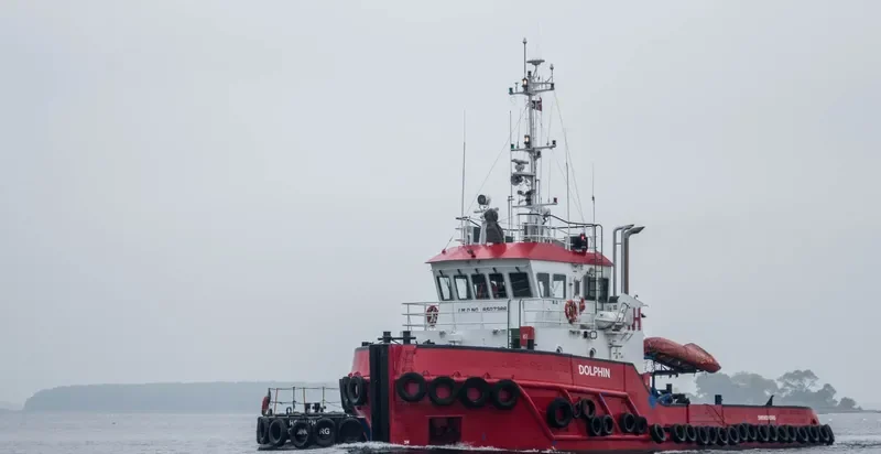 DOLPHIN General Cargo IMO 9507386 photo 9
