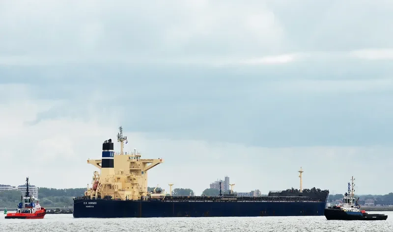 STAR BORNEO Bulk Carrier IMO 9507518 photo 3