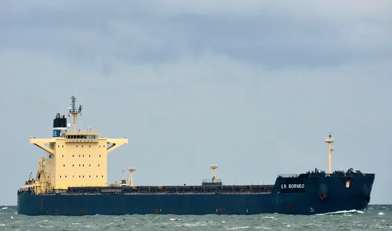 STAR BORNEO Bulk Carrier IMO 9507518 photo 5