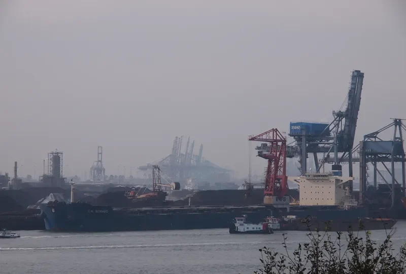 STAR BORNEO Bulk Carrier IMO 9507518 photo 7