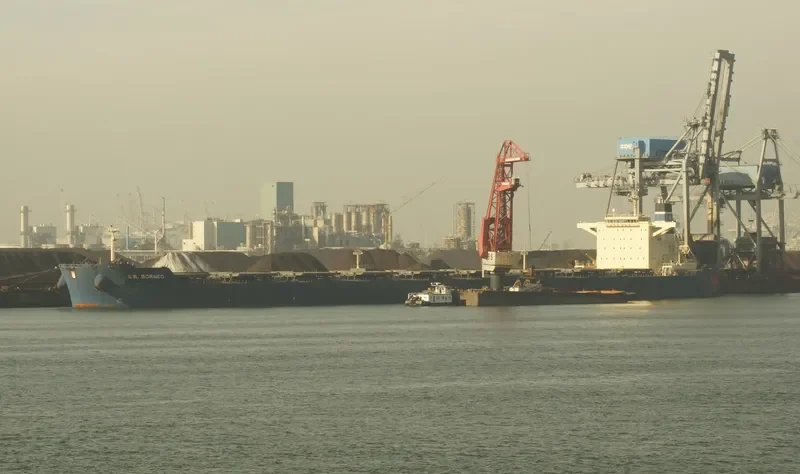 STAR BORNEO Bulk Carrier IMO 9507518 photo 9