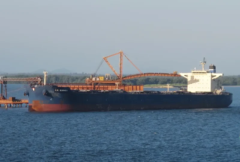 STAR BORNEO Bulk Carrier IMO 9507518 photo 10