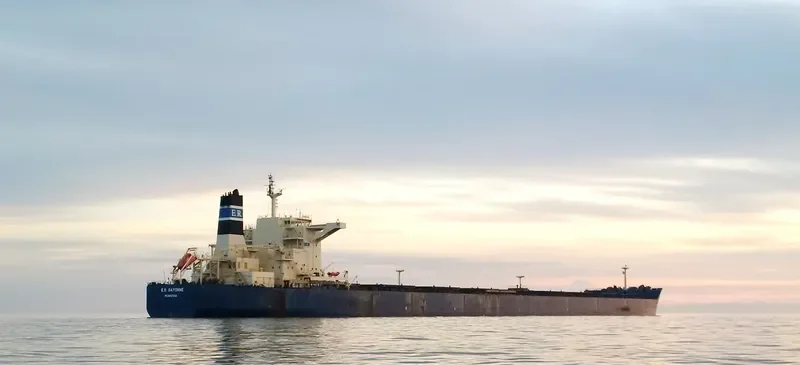STAR MARILENA Bulk Carrier IMO 9507520 photo 8