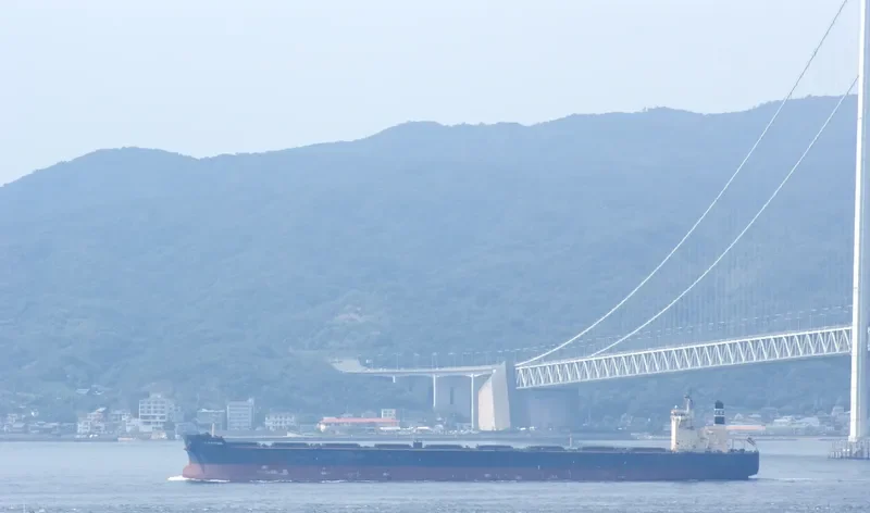 STAR MARILENA Bulk Carrier IMO 9507520 photo 10