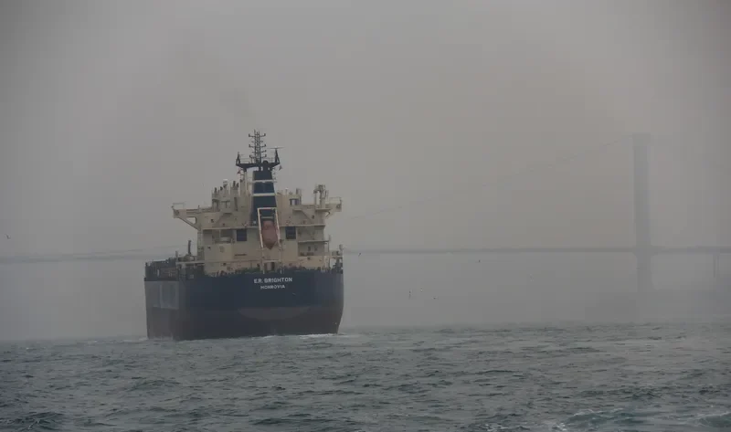 STAR BRIGHT Bulk Carrier IMO 9507788 photo 8