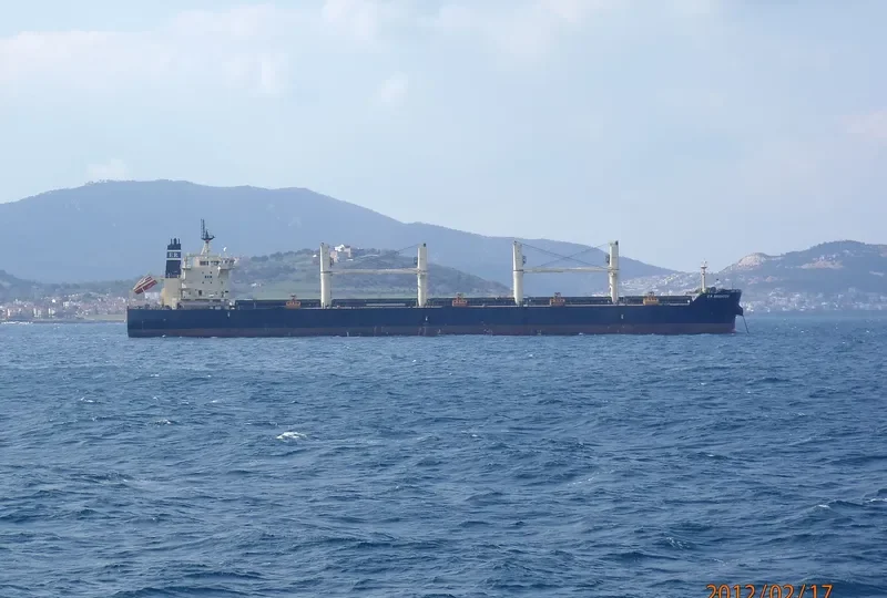 STAR BRIGHT Bulk Carrier IMO 9507788 photo 10