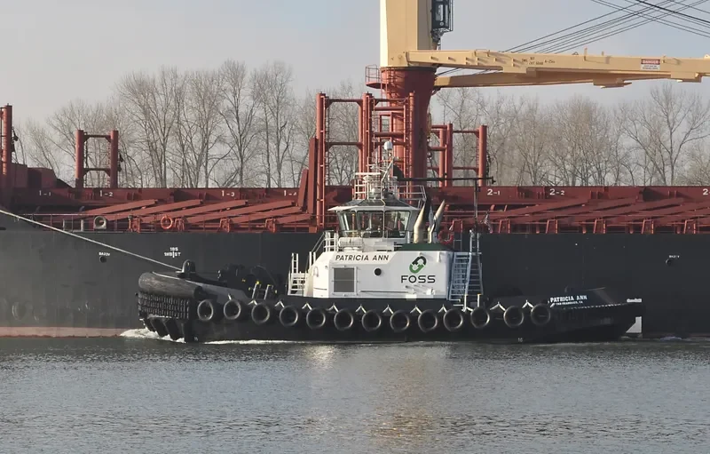 PATRICIA ANN General Cargo IMO 9507879 photo 9