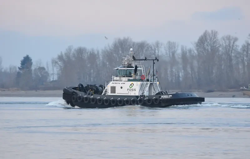 PATRICIA ANN General Cargo IMO 9507879 photo 10